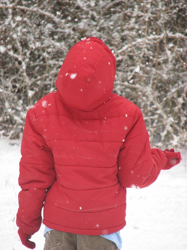 2008-12-07_First_Snow 065.jpg